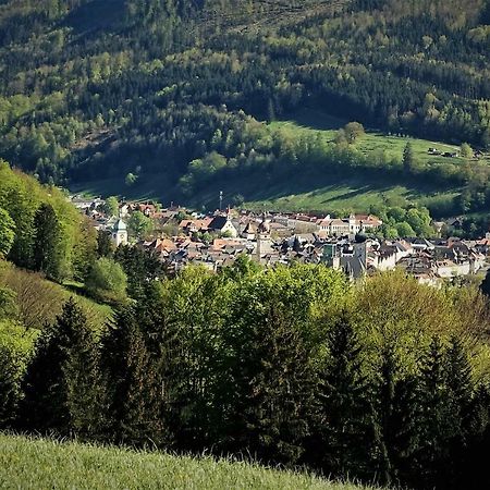 Appartement Kohlnberger Waidhofen an der Ybbs Exterior foto