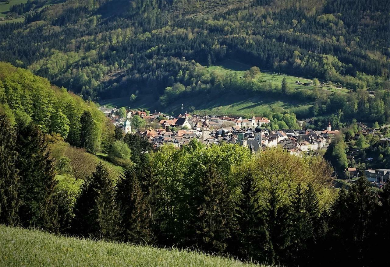 Appartement Kohlnberger Waidhofen an der Ybbs Exterior foto