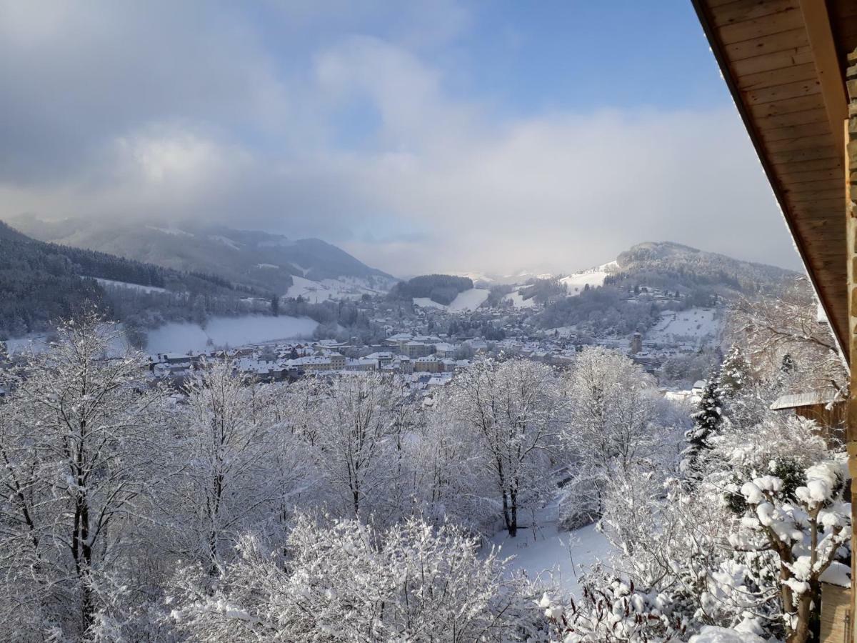 Appartement Kohlnberger Waidhofen an der Ybbs Exterior foto
